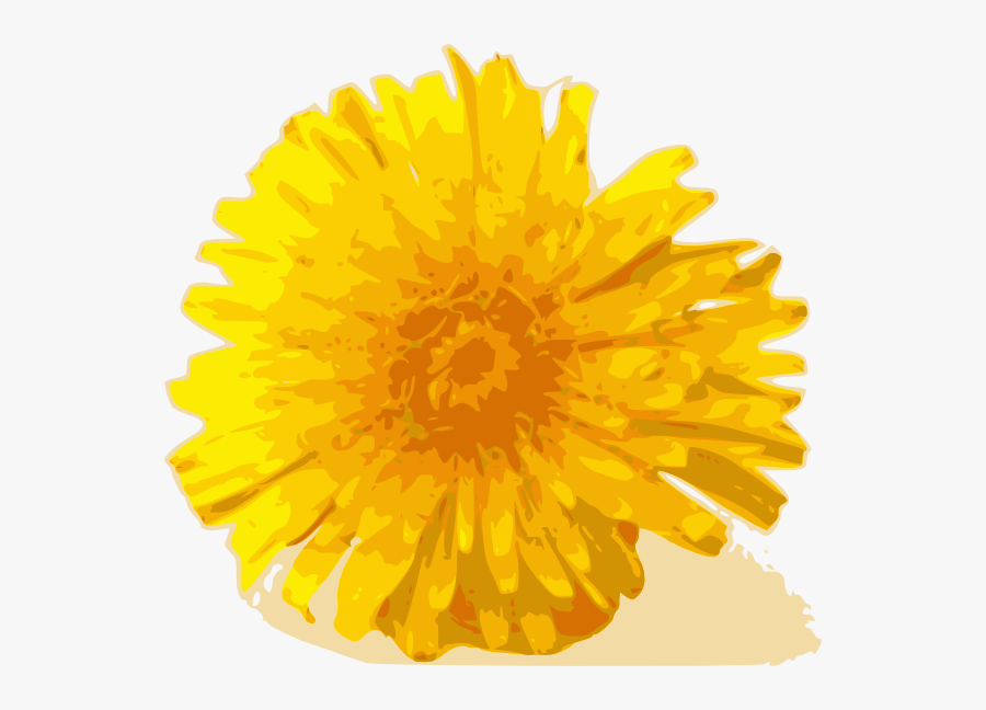 Dandelion Clip Art, Transparent Clipart