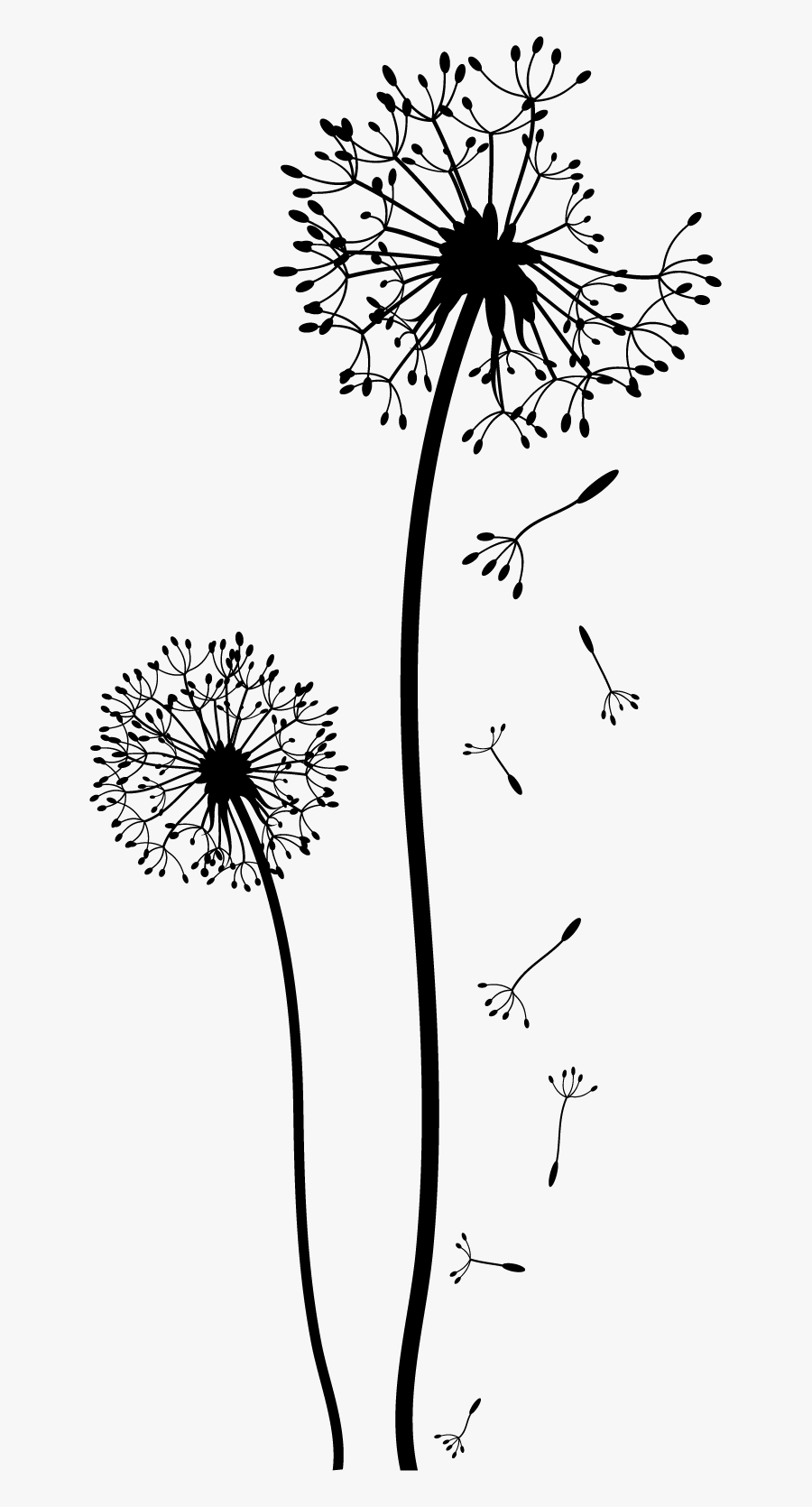 Dandelion Drawing Black And White Clip Art - Diente De Leon Dibujo, Transparent Clipart