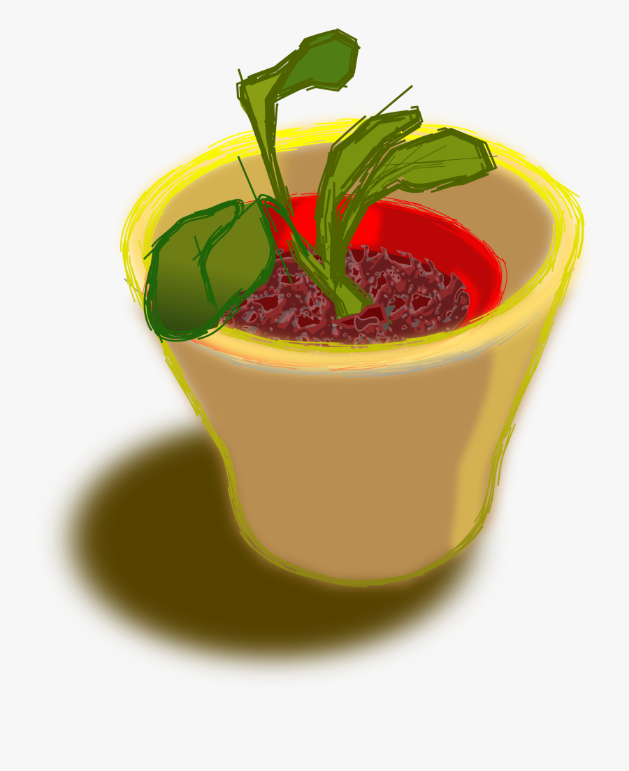 Plant In Two Pots Clip Arts - Clip Art, Transparent Clipart