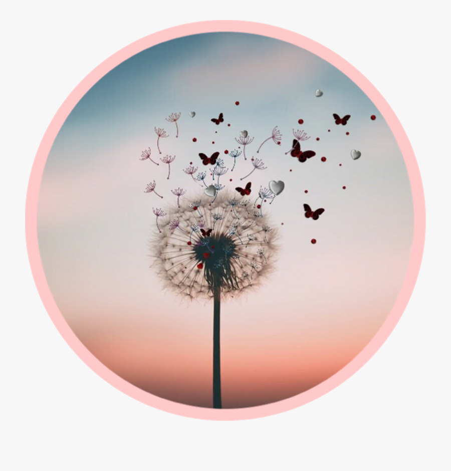 Drawing Dandelion Aesthetic Aesthetic Dandelion , Free Transparent