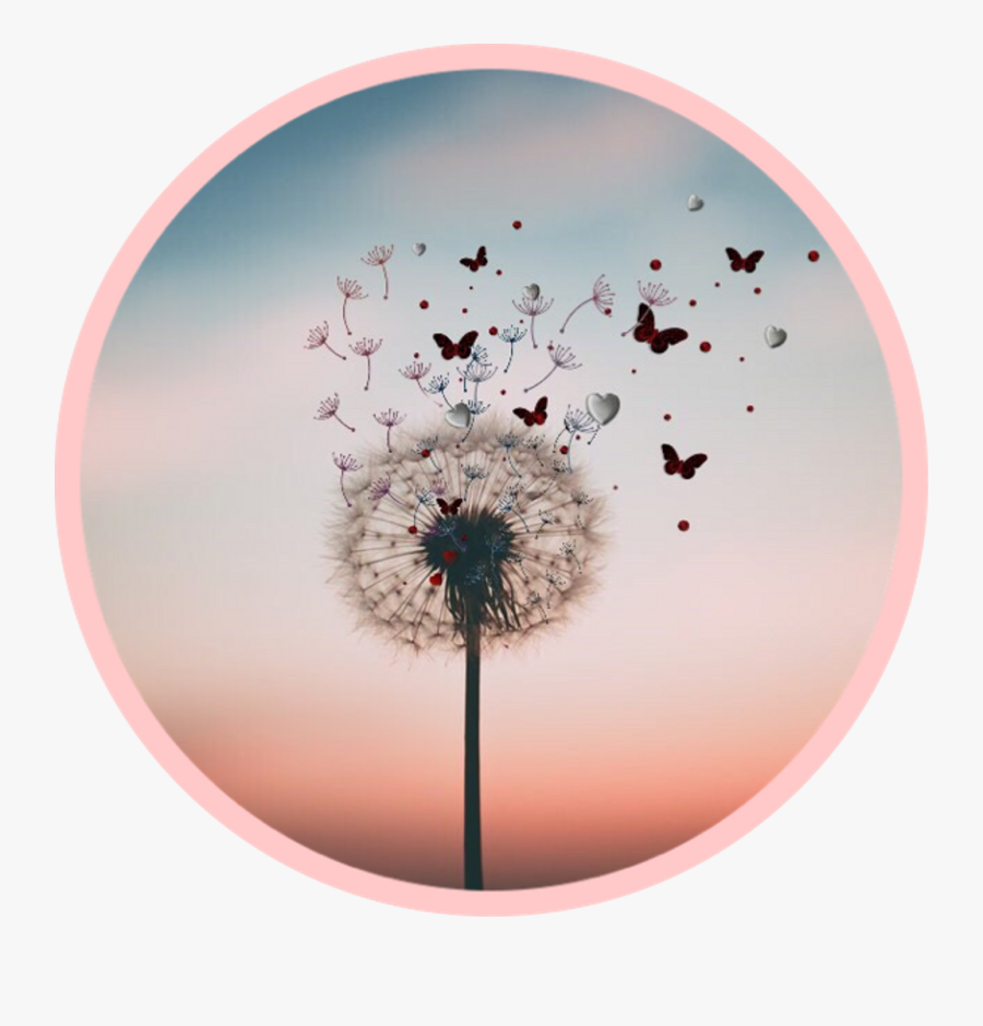 Drawing Dandelion Aesthetic - Aesthetic Dandelion, Transparent Clipart