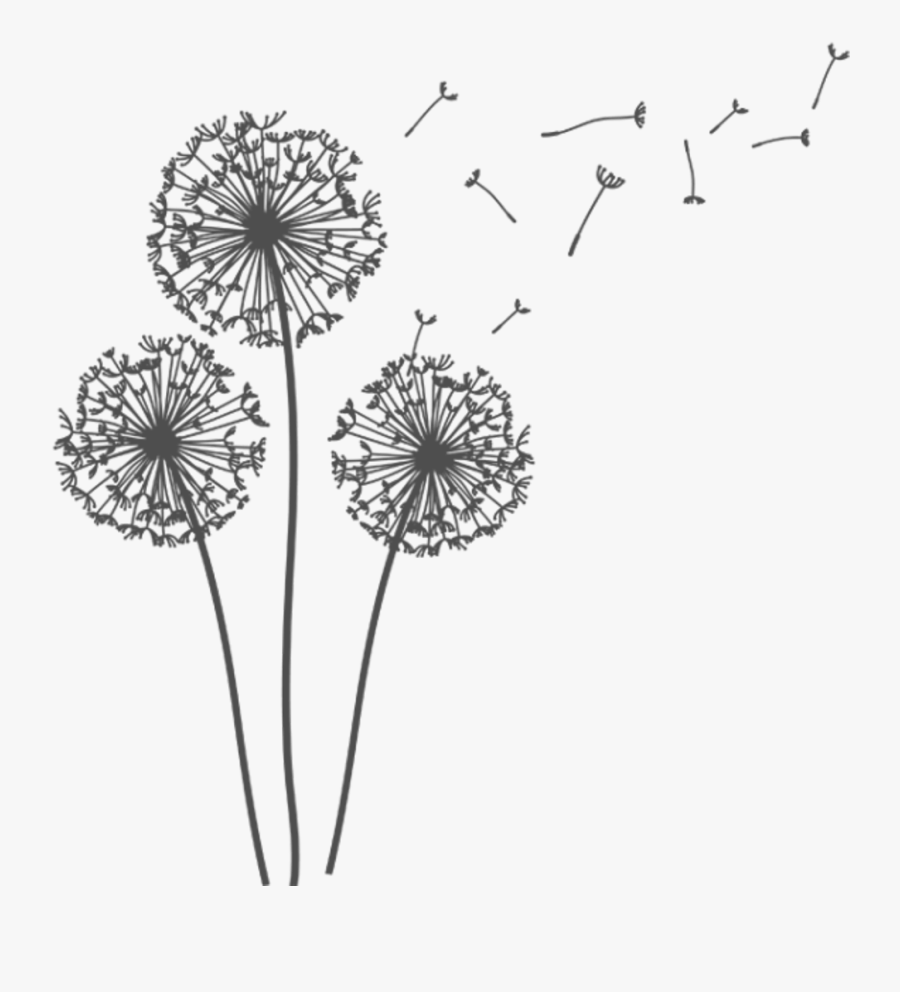 Clip Art Transparent Background Dandelion, Transparent Clipart