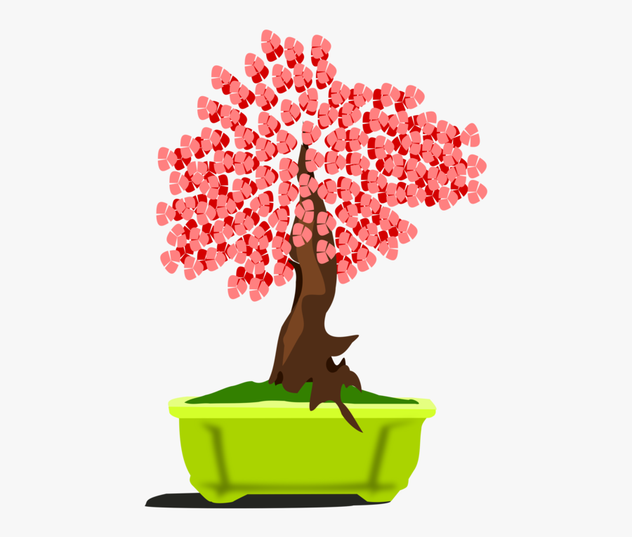 Bonsai, Transparent Clipart