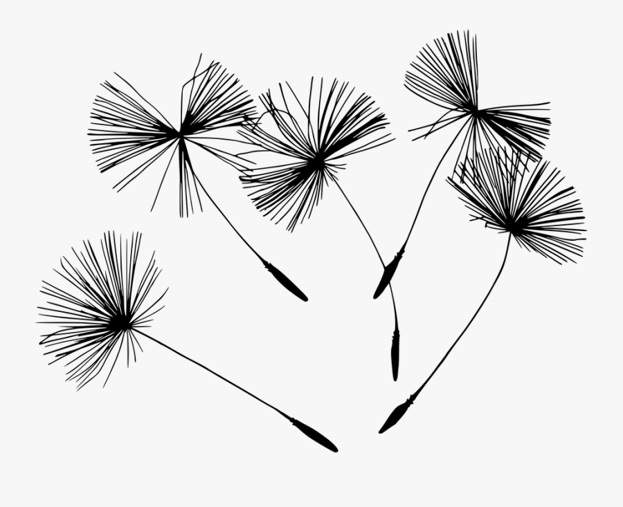 Holistic Health Clip Art Black And White, Transparent Clipart