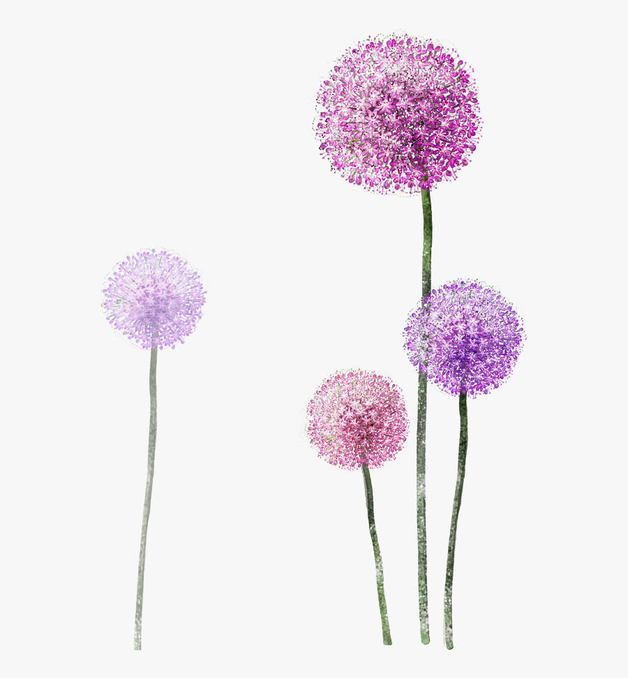 Watercolor Purple Flower Painting Dandelion Free Frame - Purple Dandelion Png, Transparent Clipart
