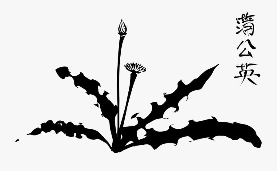 Caillgraphic Dandelion - Dandelion Silhouette, Transparent Clipart