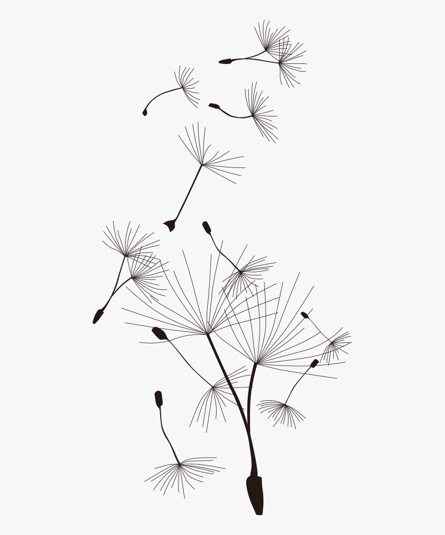 Common Dandelion T Shirt Cartoon - Dandelion Vector Png, Transparent Clipart