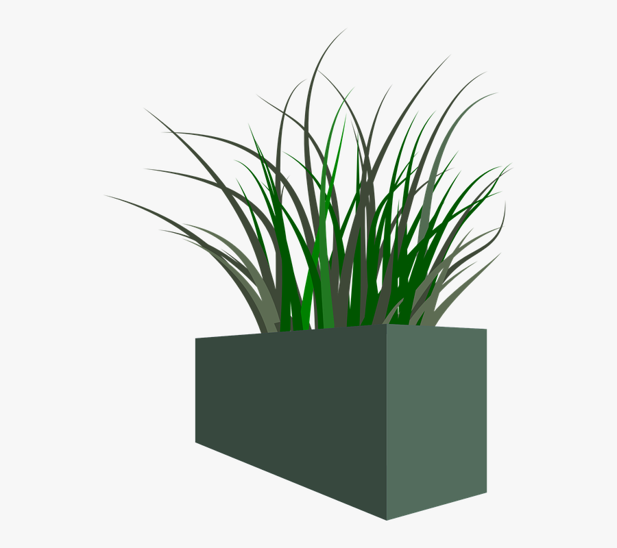 Pot Plant Clipart Transparent - Pot Of Grass Png, Transparent Clipart