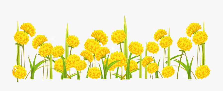 Dandelion Png - Transparent Background Yellow Flowers Clipart, Transparent Clipart