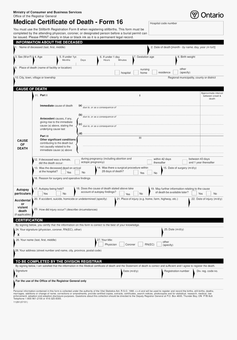 Resume Clipart Medical Certificate - Singapore Death Certificate, Transparent Clipart