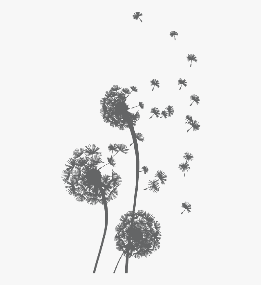 Transparent Background Dandelion Gif, Transparent Clipart