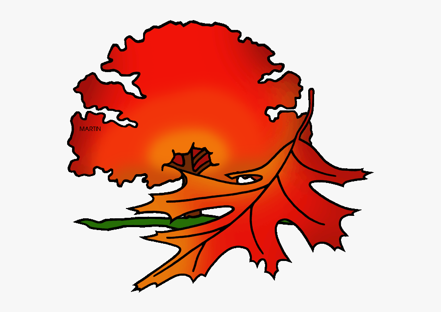 Oak Tree Branches Clipart - Red Oak Tree Clip Art, Transparent Clipart
