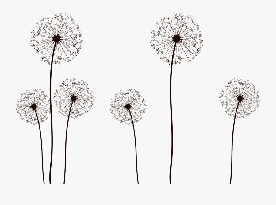 Too Shall Pass Dandelion, Transparent Clipart