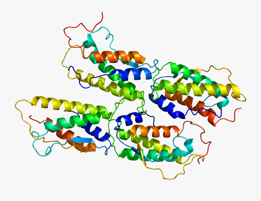 Grow Factor In Biology Clipart , Png Download - Stem Cell Factor, Transparent Clipart