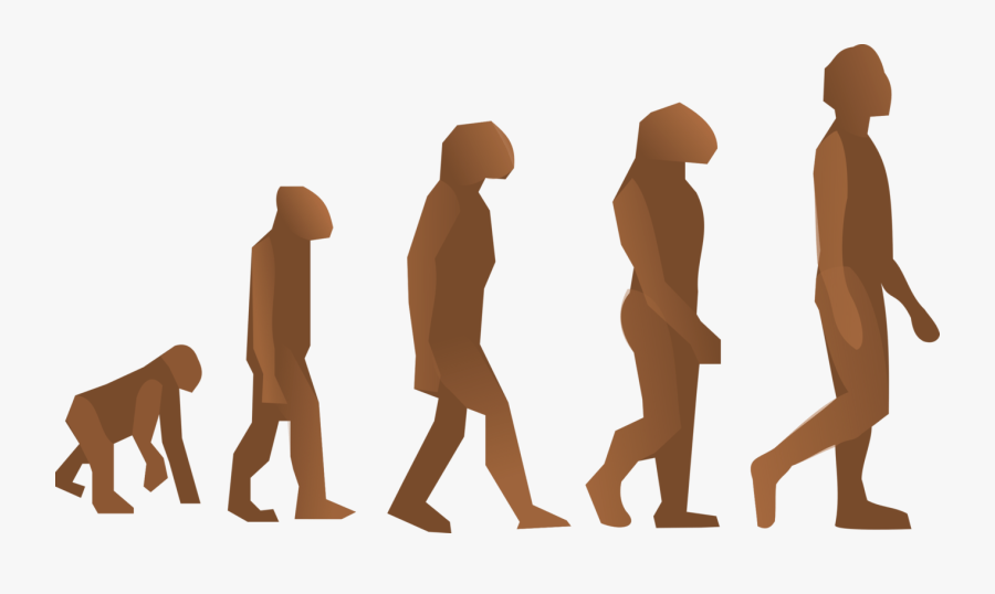 Thumb Image - Human Evolution, Transparent Clipart