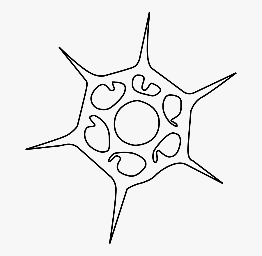 Symmetry,monochrome Photography,monochrome - Microfossil Clipart, Transparent Clipart