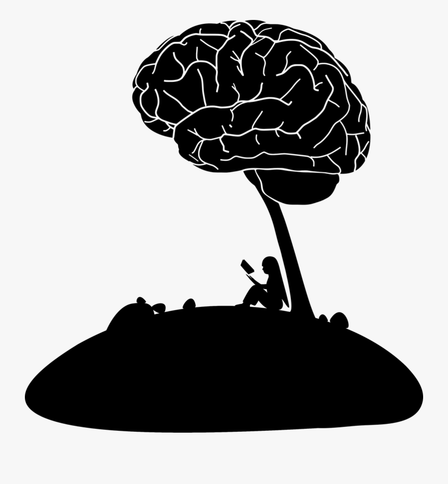 Anatomy Free Vector Graphic - Learn Something New, Transparent Clipart