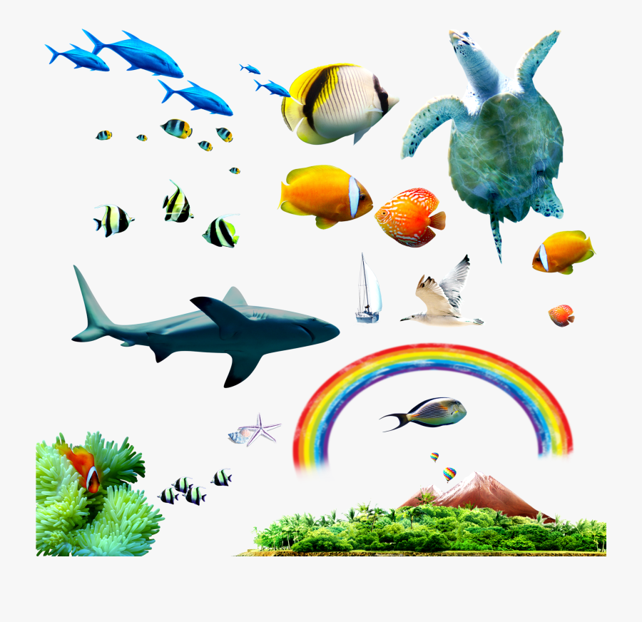 Clipart Images Of Tropical Fish, Transparent Clipart