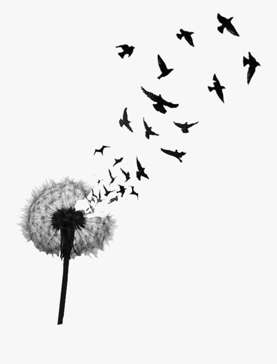 Clip Art Dandelion Bird Tattoo - Alis Volat Propriis Quotes, Transparent Clipart
