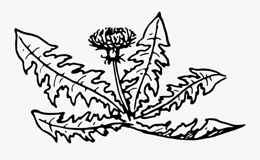 Big Image Png - Illustration, Transparent Clipart