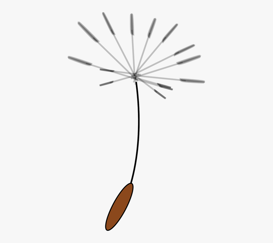 Flying Seeds Dandelions Free - Clip Art Dandelion Seed, Transparent Clipart