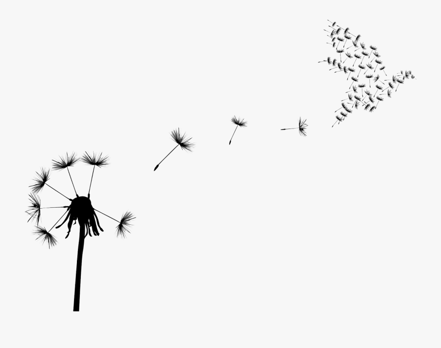 Bird Common Dandelion Flock Clip Art - Flower Turning Into Birds, Transparent Clipart