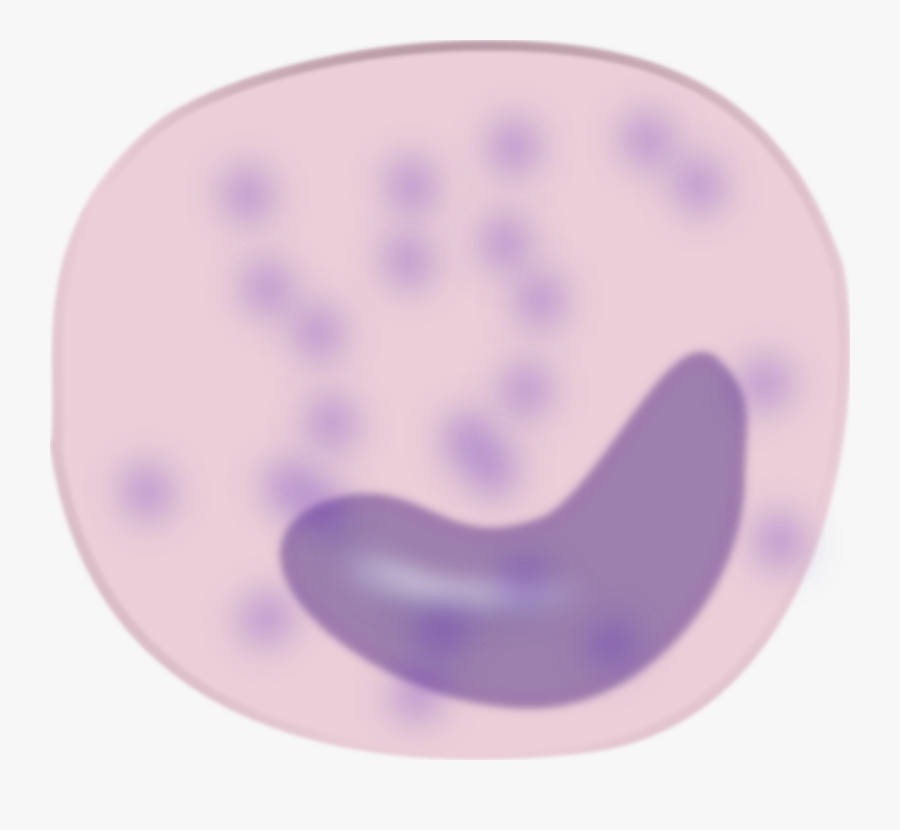 Purple,lilac,violet - Monocyte Clipart, Transparent Clipart