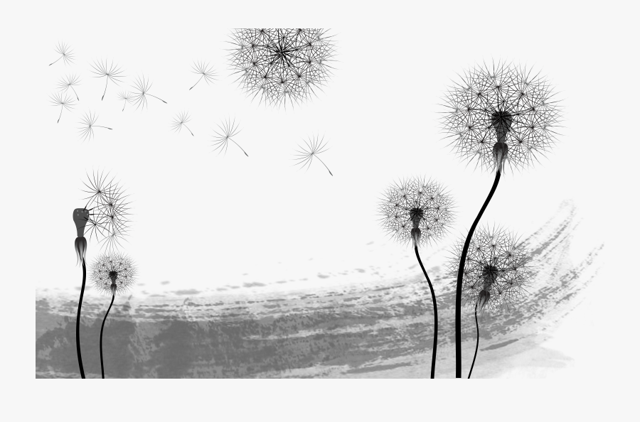 Dandelion Transparent Pen And Ink, Transparent Clipart