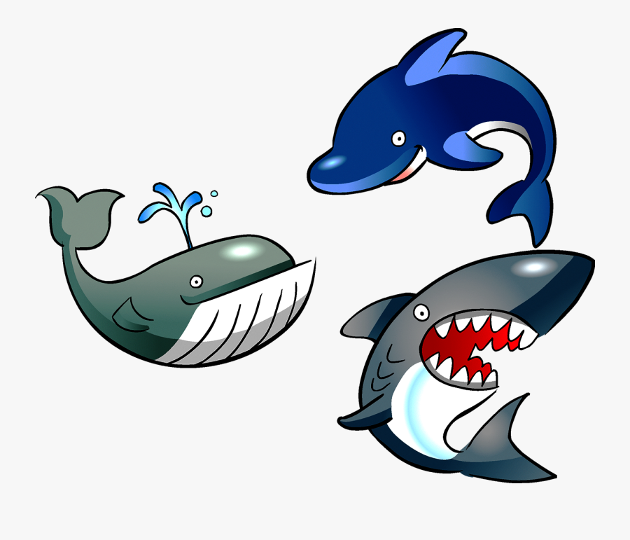 Cartoon Life Clip Art - Marine Biology Clip Art, Transparent Clipart