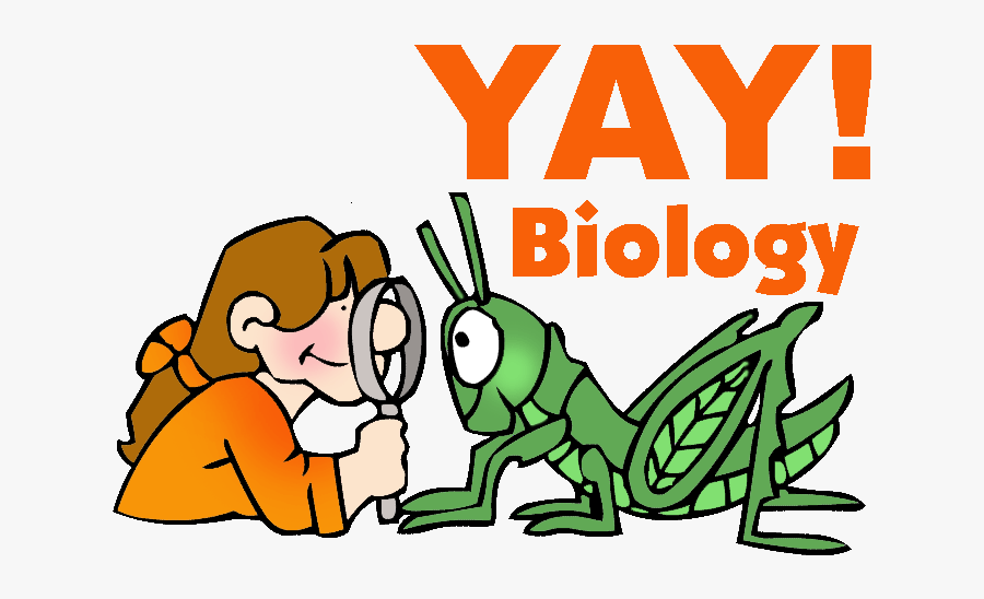 Biology Mitosis Aa Classroom Clip Art Library - Learning Biology, Transparent Clipart