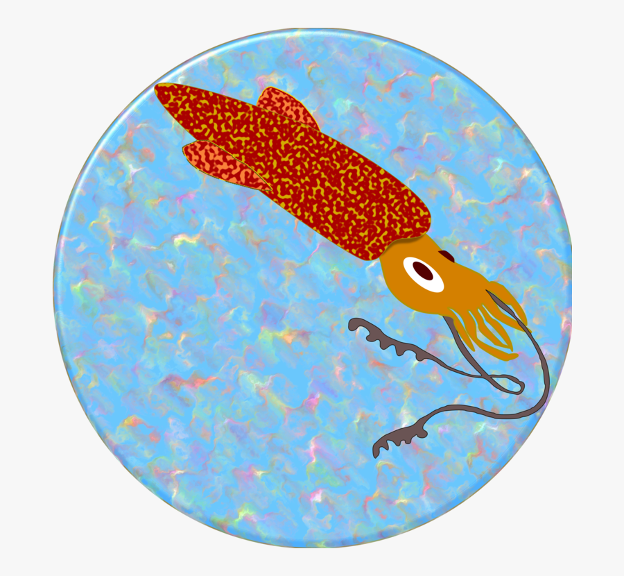 Marine Biology,area,fish - Illustration, Transparent Clipart