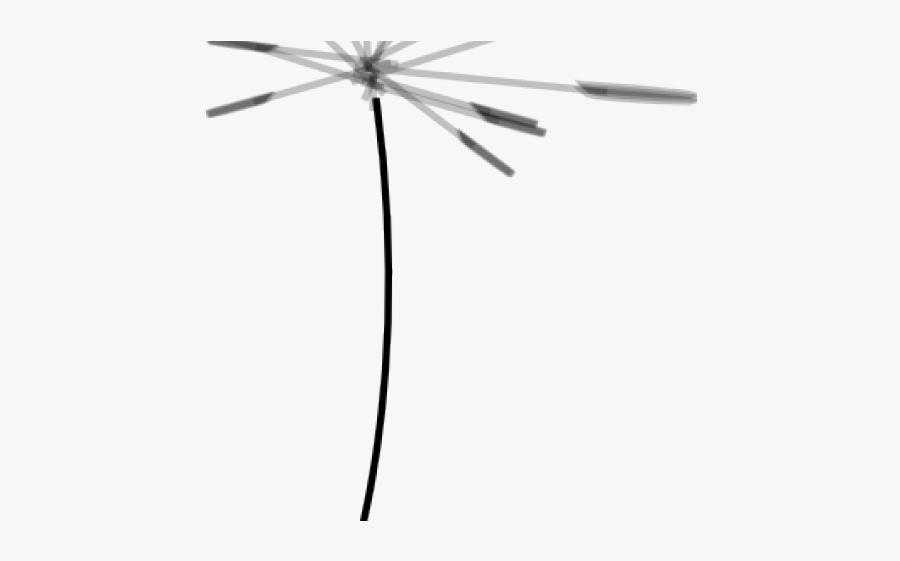 Helicopter, Transparent Clipart