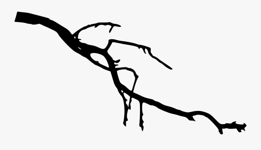 Simple Forest Silhouette - Silhouette Of A Branch, Transparent Clipart