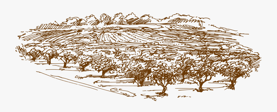 Clip Art Abstract Forest - Sketch, Transparent Clipart