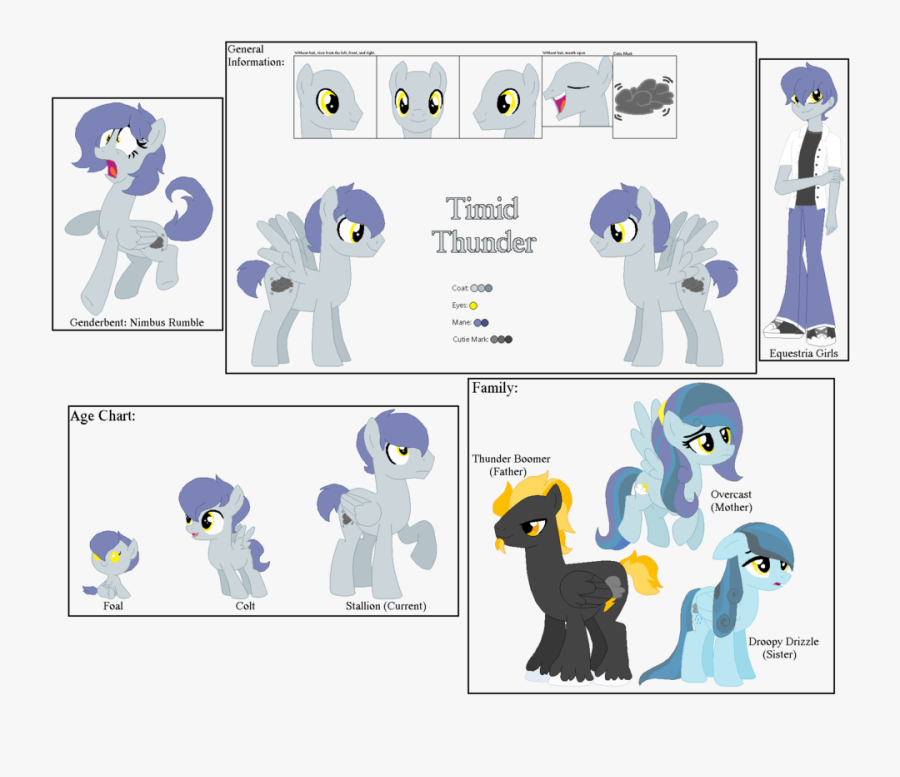 Timid Thunder Ref Sheet - Mlp Equestria Girls Thunder Artist, Transparent Clipart