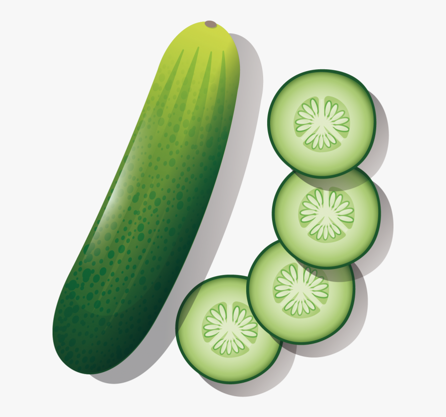 Cucumber Images For Drawing, Transparent Clipart