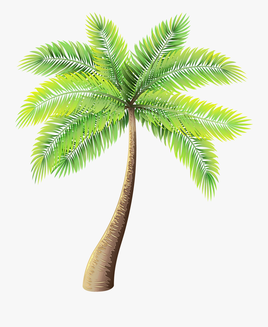 Clip Art Palm Trees Portable Network Graphics Image - Transparent Palm Tree Png, Transparent Clipart