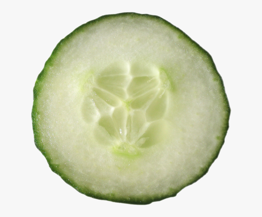 Cucumbers Png Image - Cucumber Png, Transparent Clipart