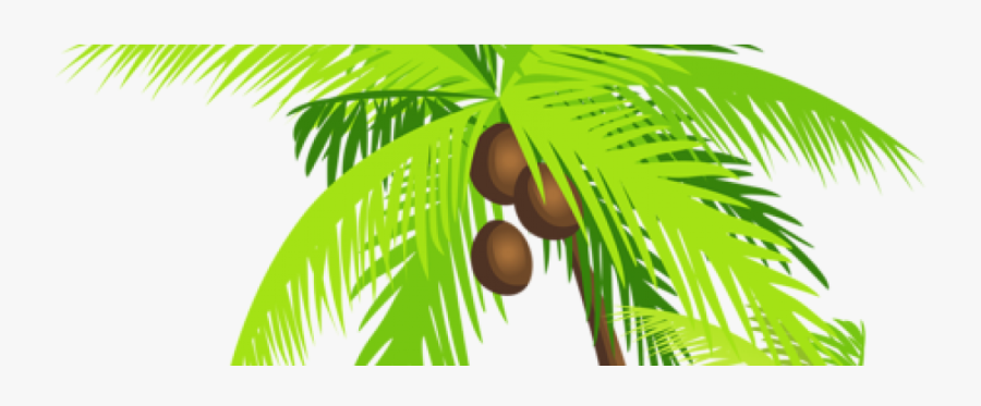 Transparent Butt Clipart - Coconut Tree Transparent Background, Transparent Clipart