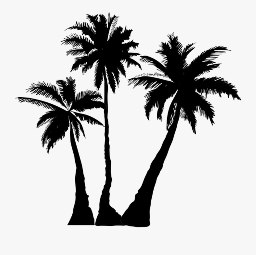 Transparent Palm Tree Png Transparent - Palm Trees Transparent Background, Transparent Clipart