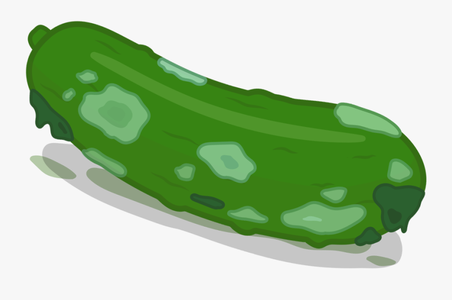 Squishy Cucumber - Gourd, Transparent Clipart