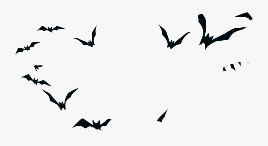 Bird Halloween Silhouette - Halloween Bats Png, Transparent Clipart