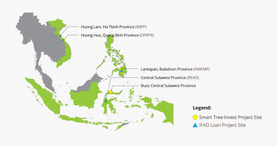 Clip Art Invest Tree - Provinces Of Southeast Asia, Transparent Clipart