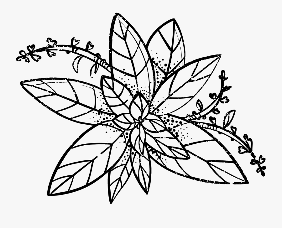 Bellatrino Pizzeria - Line Art, Transparent Clipart