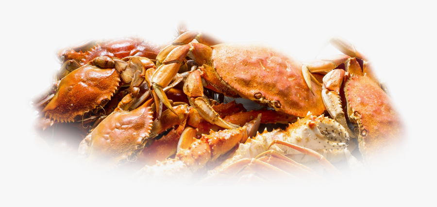 Crabs Drawing Dungeness Crab Transparent Png Clipart - Dungeness Crab, Transparent Clipart