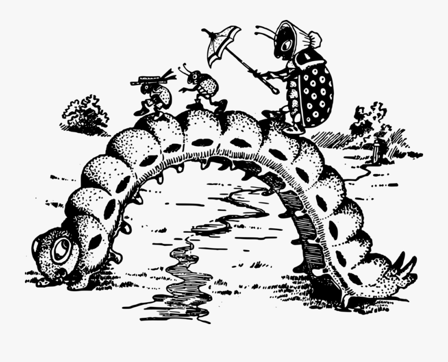 Visual Arts,reptile,art, Transparent Clipart