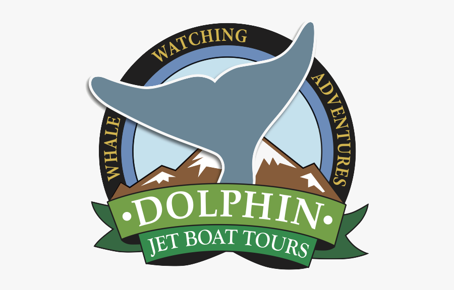Dolphin Jet Boat Tours - Flame Lily Adventures, Transparent Clipart
