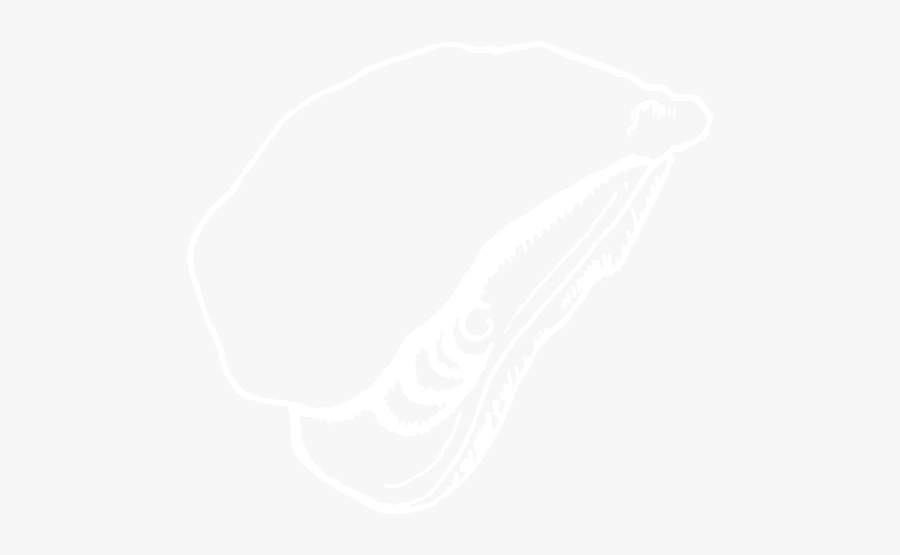 Johns Hopkins White Logo, Transparent Clipart