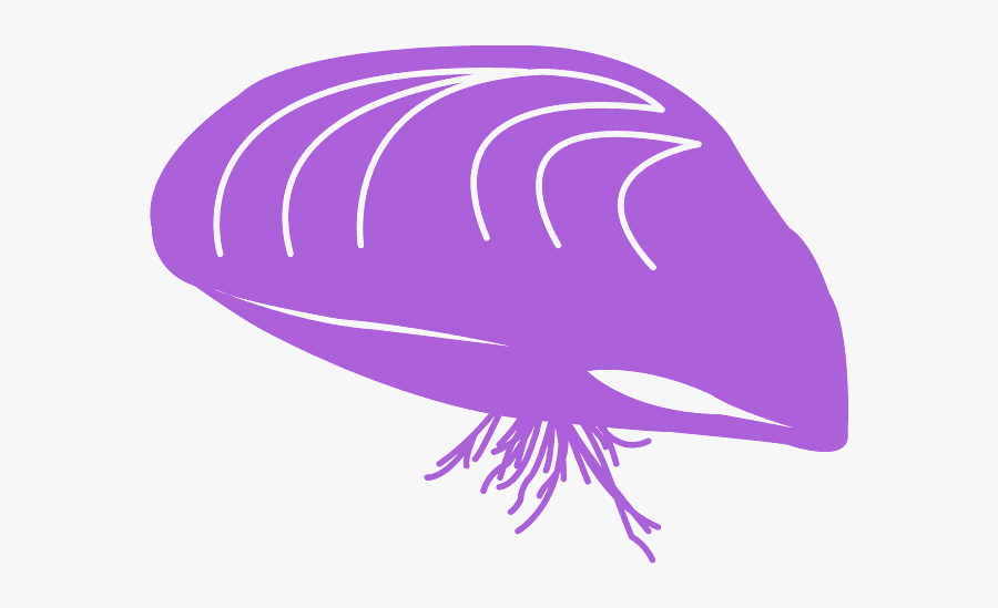 Silhouette Mossel, Transparent Clipart