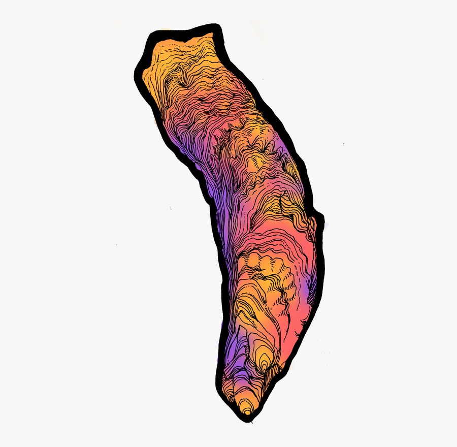 Illustration, Transparent Clipart